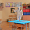 Дезинфекция школы Дезинфекция школы